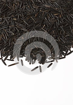 Photo of Wild Rice