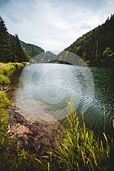 Photo of wild river flowing throught the forest with dramatic and moody sky on background.  River bank at the evening with forest