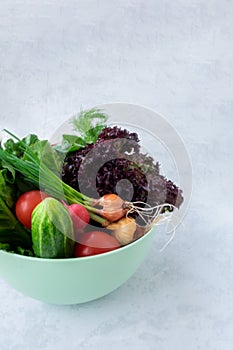 Photo of a wire shopping basket full of fresh fruit and vegetables