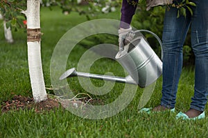 Photo of woman holding metal watering can at garden near tree