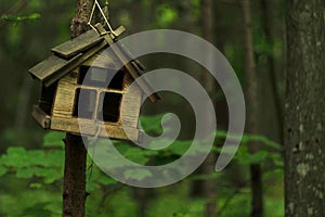 Photo of wooden birdhouse in cold summer forest