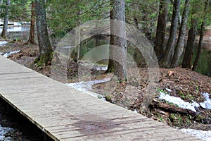 Landscape wooden path in the forest by the river in spring