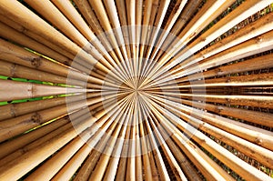 Yellow bamboo centralization pattern texture photo