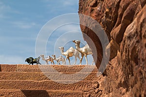 Toy figurines of camels