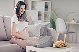 Photo of young beautiful lovely pretty happy positive smiling pregnant woman sit sofa working in laptop at home house