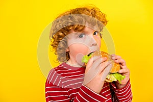 Photo of young hungry ginger wave hair boy hold hands hamburger eat fast food isolated on yellow color background