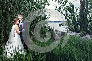 Photo young newlyweds near tall green reeds