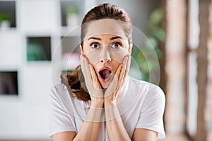 Photo of young shocked amazed surprised businesswoman call hold hands cheeks hear bad news problem trouble in video call