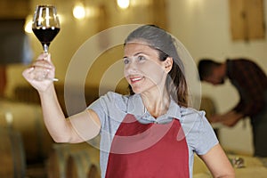 photo young successful female tasting wine