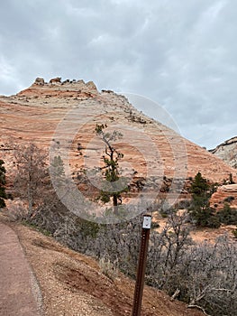 Photo of Zion Canyon in Zion National Park Along Zion Park Blvd in Springdale Utah USA photo