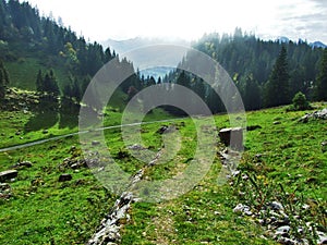 Photogenic pastures and hills of the Alpstein mountain range