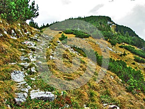 Photogenic pastures and hills of the Alpstein mountain range