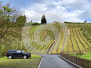 Photogenic vineyards in the village of Buchberg