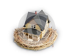 Photograph of birds nest with a miniature home inside