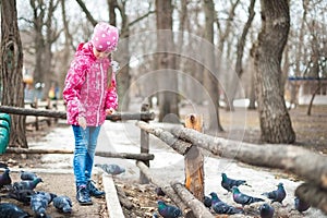 A photograph of a child`s rest on nature in the spring. A child in a bright pink jacket feeds pigeons with bread. Pastime without