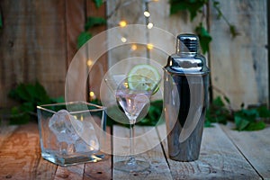 Photograph of cocktail shaker still life with cocktail glass and ices