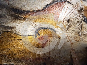 Photograph of drawings dating from the Paleolithic period from the reproduction of La Grotte de Lascaux