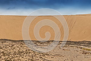 Photograph of dunes with vegetation of the Namibe Desert. Africa. Angola