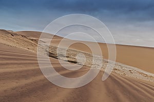 Photograph of dunes with vegetation of the Namibe Desert. Africa. Angola