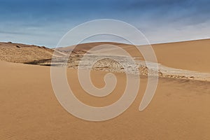 Photograph of dunes with vegetation of the Namibe Desert. Africa. Angola