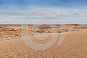 Photograph of dunes with vegetation of the Namibe Desert. Africa. Angola