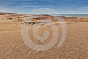 Photograph of dunes with vegetation of the Namibe Desert. Africa. Angola