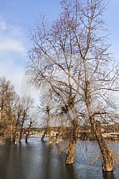 Photograph Of Flooded Land With Floating Houses And Huts On Sava River â€“ Block 45 â€“ New Belgrade â€“ Serbia