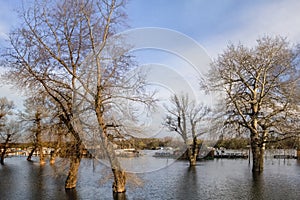 Photograph Of Flooded Land With Floating Houses And Huts On Sava River â€“ Block 45 â€“ New Belgrade â€“ Serbia