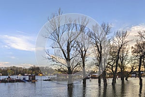 Photograph Of Flooded Land With Floating Houses And Huts On Sava River â€“ Block 45 â€“ New Belgrade â€“ Serbia