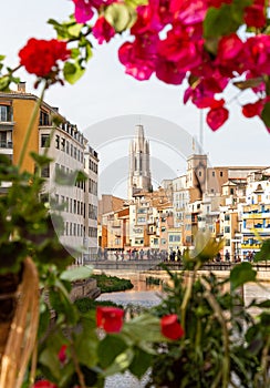 Gerona city during the flower festival photo