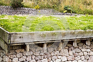 Photograph of a Green Roof