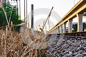A photograph of hay near a railway