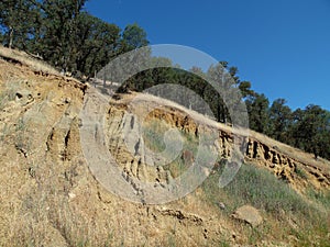 Photograph of Hillside Showing Soil Erosion