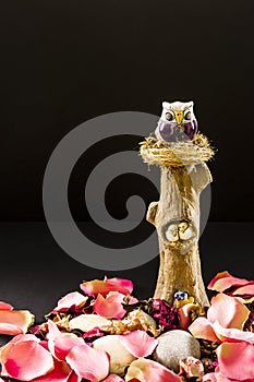 Photograph of a lucky owl on a wooden trunk surrounded by flower petals. The photograph has a space to embed the text of your