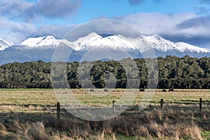 Photograph of the mountain range view while driving from Te Anau to Manapouri in New Zealand