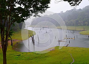 Periyar Lake, Forest and National Park in Rain, Kerala, India photo