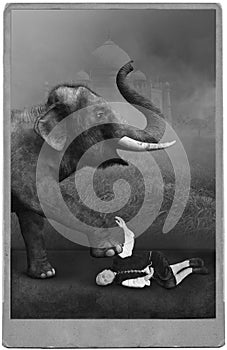 Vintage Circus Performer, Carnival, Elephant photo