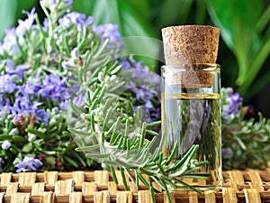 Aromatherapy oil photo