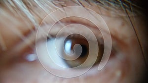 Photograph of a Single Human Eye