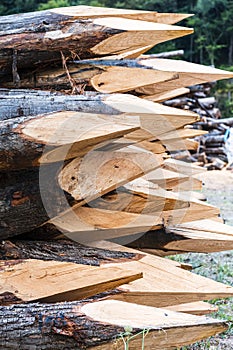 Photograph of some pointed wooden logs stacked and prepared for farm closings.The photo is in vertical format