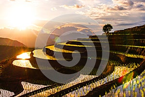 Photograph of terraced paddy field in cloudy and rainy day in Mae-Jam district, Chiang Mai Province, Thailand