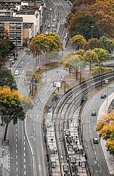 Árboles entre carreteras en de 