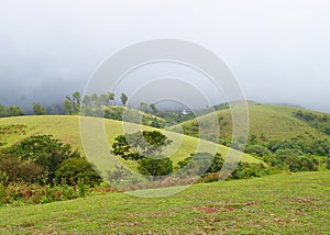 Vagamon Hills and Meadows - Misty Hills and Cloudy Sky, Idukki, Kerala, India photo