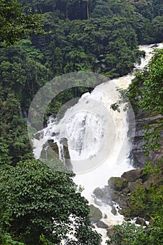 Gushing Milky White Water - Valara Waterfalls in Thick Forest in Idukki, Kerala, India - Natural Wallpaper