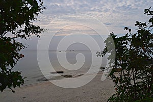 Through Window of Nature - View of Peaceful and Uncrowded White Sandy Beach from Gap between Trees photo