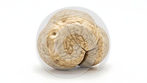 A walnut on a white background (ai generated)