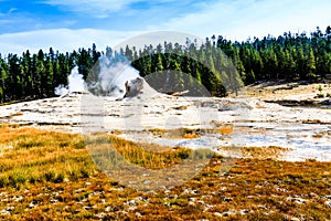 Yellowstone National Park Hydrothermal Area photo