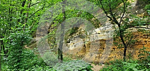 Sandstone Bluffs at White Water State Park photo