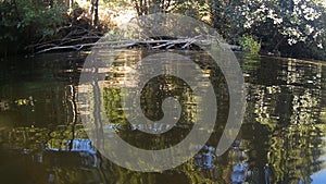 Photograph at the water`s edge in a river in CÃ¡ceres with stones in the background and tree branches in the water, in Spain.