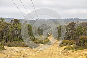 Photograph of wooden powerline poles and wires